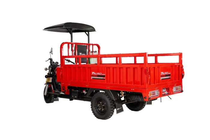 MotoCarga 200 Cama Larga