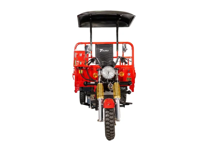 MotoCarga 200 Cama Larga