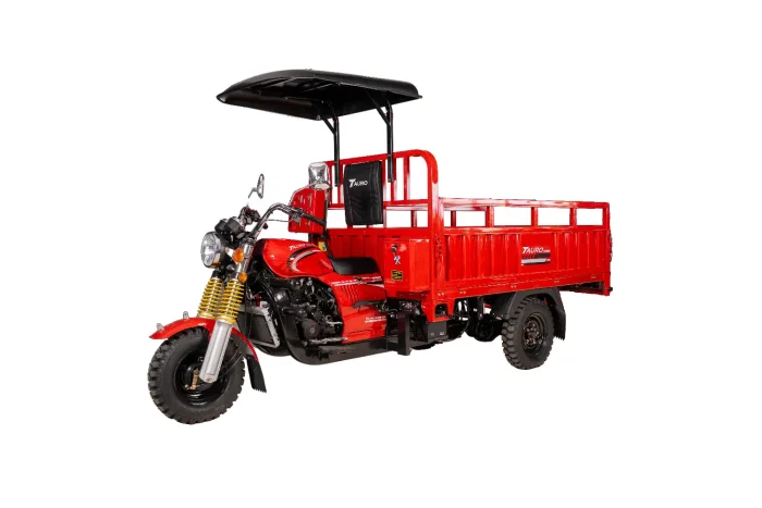 MotoCarga 200 Cama Larga