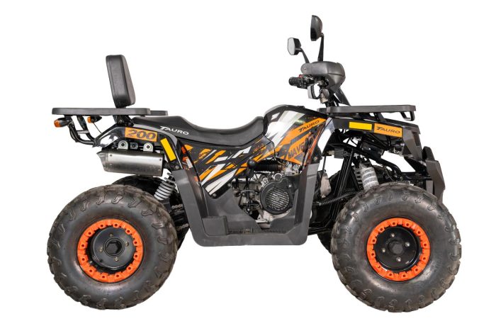 Maverick 200