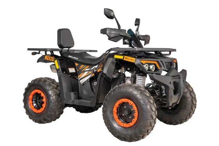 Maverick 200