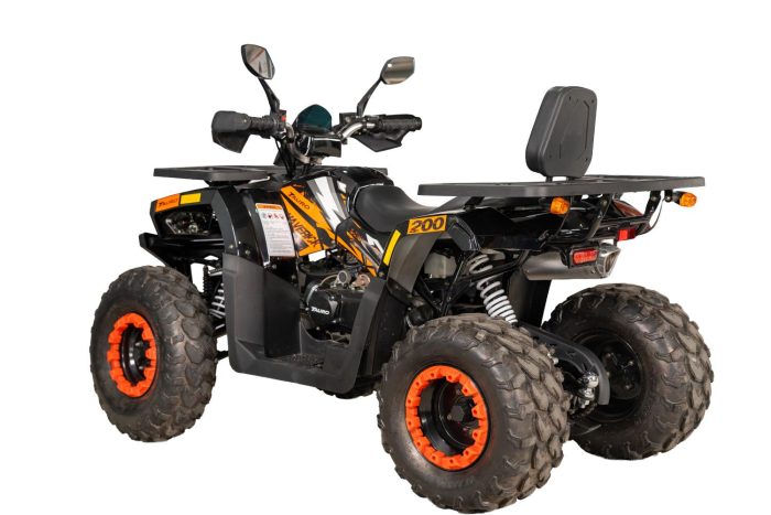 Maverick 200