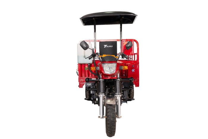 MotoCarga 250 Hidráulica