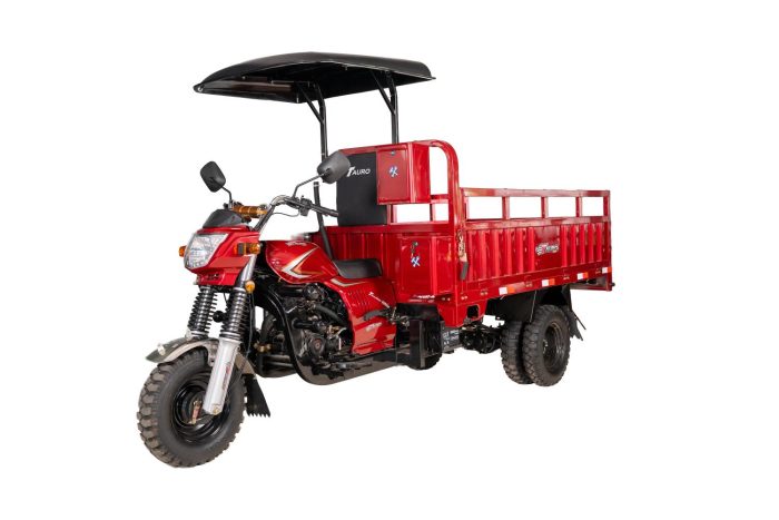 MotoCarga 250 Hidráulica