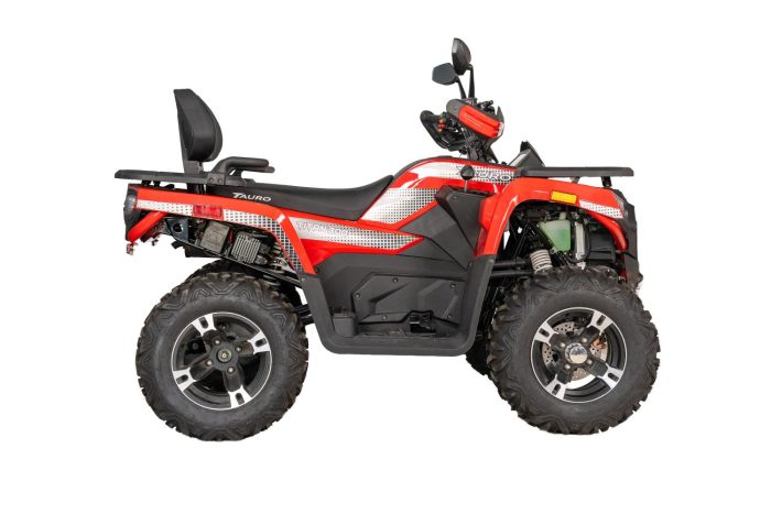 Titán 300